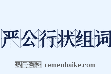 严公行状组词是什么意思的图片